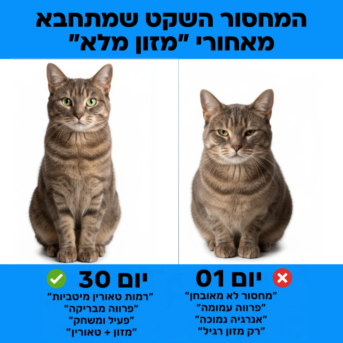 מיאו-לי® - תוסף טאורין לחתולים