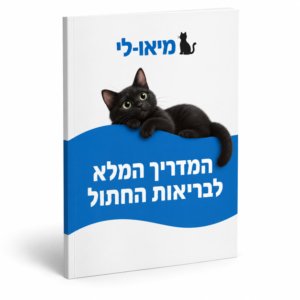 המדריך המלא לבריאות החתול